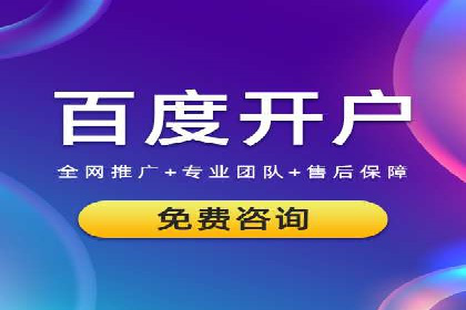 百度推广竞价全解析：某电商平台的营销策略